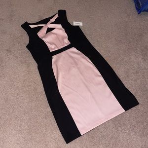NWT Blush Pink & Black Dress Barn bandage dress